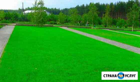 Газон. Озеленение. Благоустройство Калининград