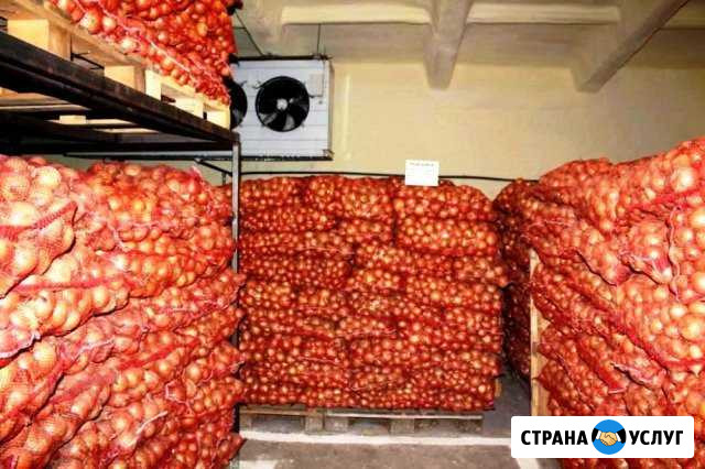 Овощехранилища.Холодильное оборудование под ключ Феодосия - изображение 1