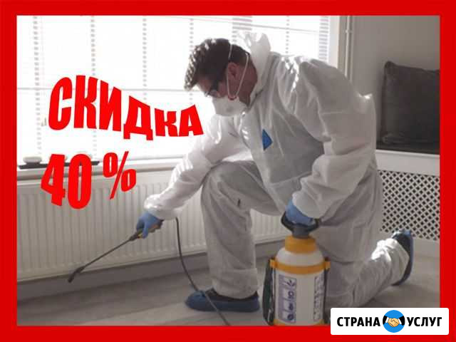 Уничтожение Клопов Отрадное - изображение 1