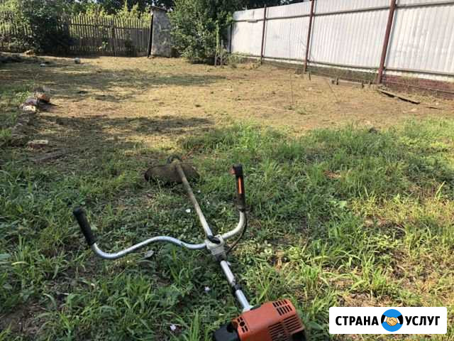 Спил деревьев,Вывоз мусора,Покос травы,Корчевание Ейск - изображение 1