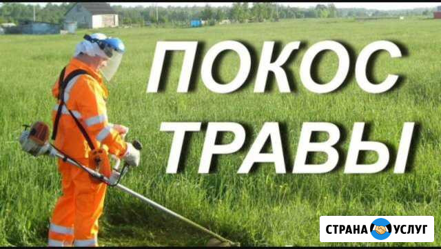 Покос травы Череповец - изображение 1