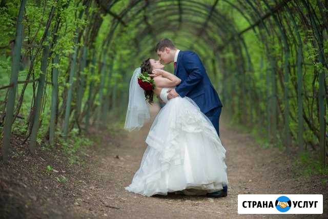Свадебный и семейный фотограф Одинцово - изображение 1