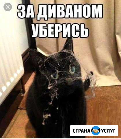 Домоработница Ивановская - изображение 1