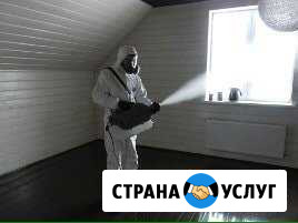 Уничтожение насекомых всех видов Новокуйбышевск - изображение 1