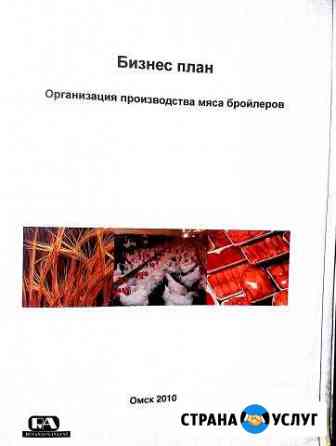 Бизнес-план Омск