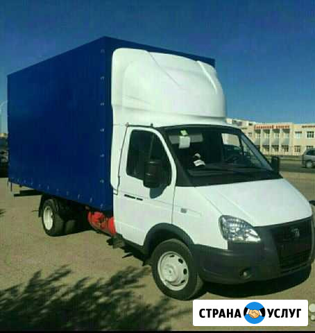 Вывоз веток с участка. Вывоз мусора строительного Сочи - изображение 1