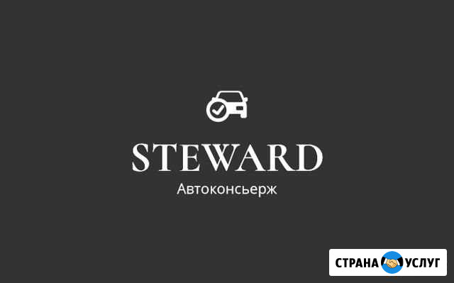 Удаленная помощь при покупке авто от Steward Волгоград - изображение 1