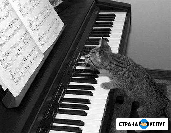 Репетитор по фортепиано и сольфеджио Энгельс - изображение 1