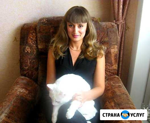 Уборка квартир Новосибирск - изображение 1