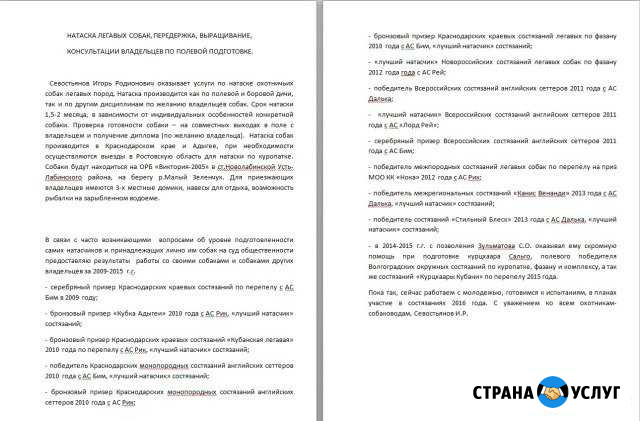 Натаска легавых Новолабинская - изображение 1