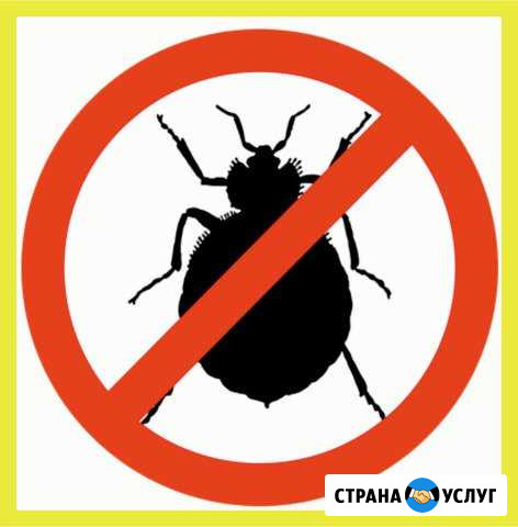 Уничтожение насекомых Балтийск - изображение 1