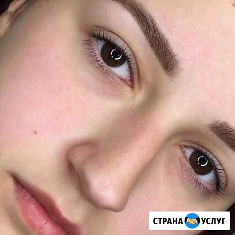 Оформление бровей, ламинирование ресниц Владимир - изображение 1
