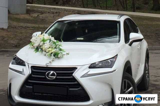 Аренда авто Пермь - изображение 1