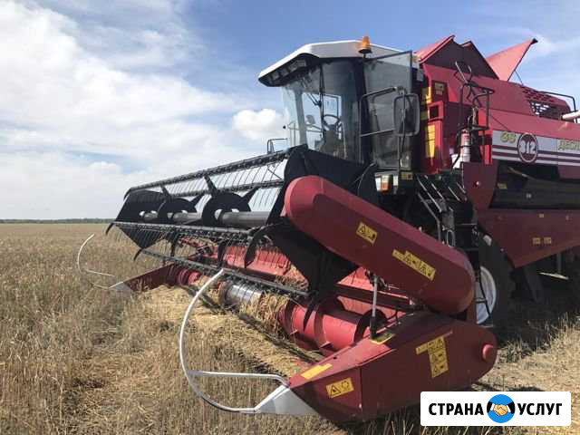 Уборка зерновых и масличных культур Саракташ - изображение 1