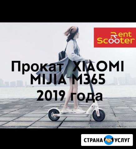 Прокат Электросамокато Xiaomi m365 Санкт-Петербург - изображение 1