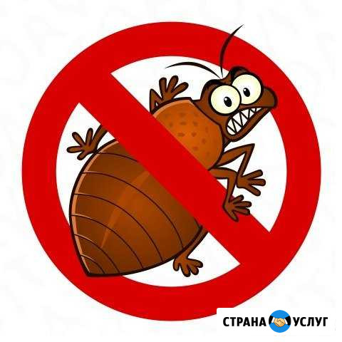 Санитарная обработка помещений Бердск - изображение 1