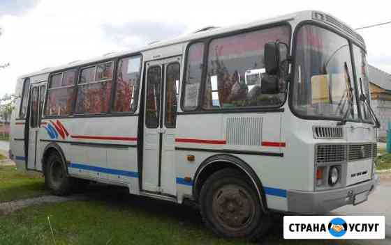 Пассажирские перевозки. Автобус Мерседес,паз Липецк