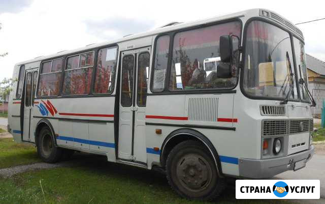 Пассажирские перевозки. Автобус Мерседес,паз Липецк - изображение 1