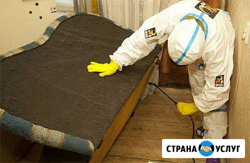 Дезинфекция насекомых, грызунов, плесени, запаха Октябрьский - изображение 1