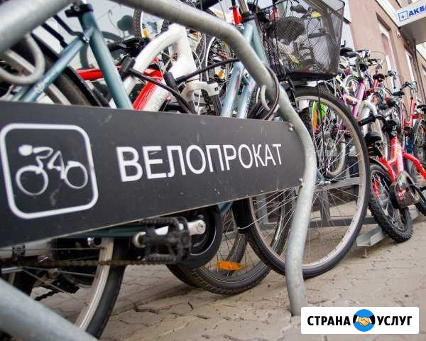 Велопрокат Прокат велосипедов Иваново - изображение 1