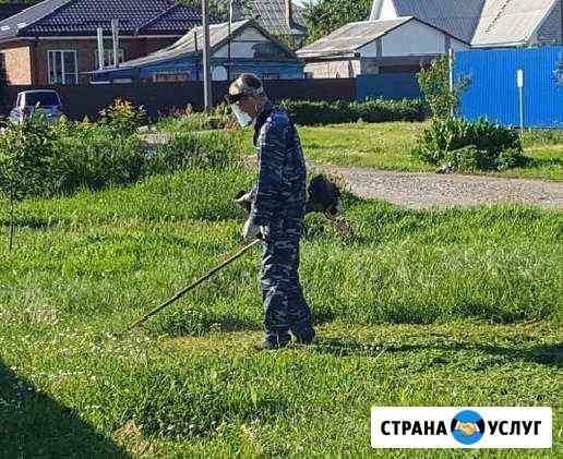 Покос травы, кустарника, спил деревьев Тихорецк