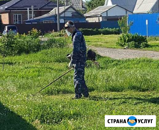 Покос травы, кустарника, спил деревьев Тихорецк - изображение 1