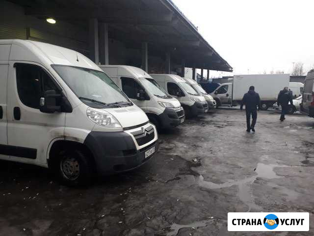 Грузоперевозки в Спб и Лен.обл Санкт-Петербург - изображение 1