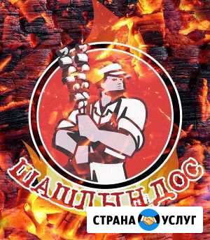 Шашлындос Бор - изображение 1