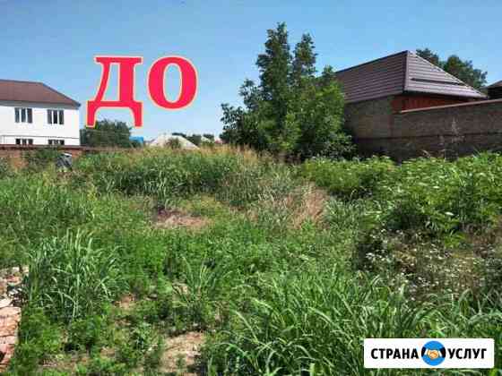 Покос травы Грозный