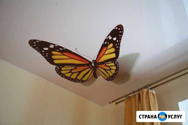 Не заказывайте натяжные потолки, пока не Нижнекамск - изображение 1