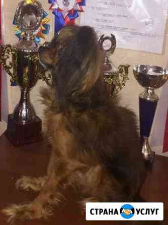 Вязка. Д. Ш. той Иркутск