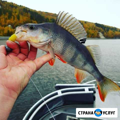 Прогулка на катере Тольятти - изображение 1