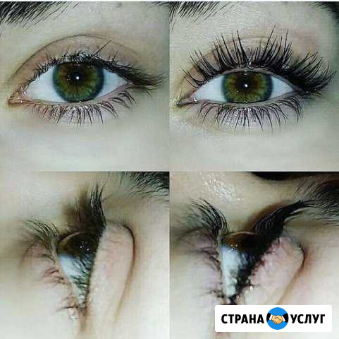 Обучение Ламинированию ресниц Маркова - изображение 1