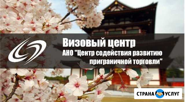 Визы в Китай Чита - изображение 1