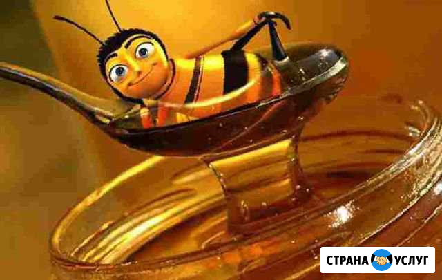 Продам свежий мед Балашов - изображение 1