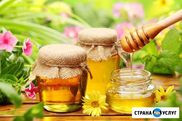 Продаётся мёд Чернянка - изображение 1