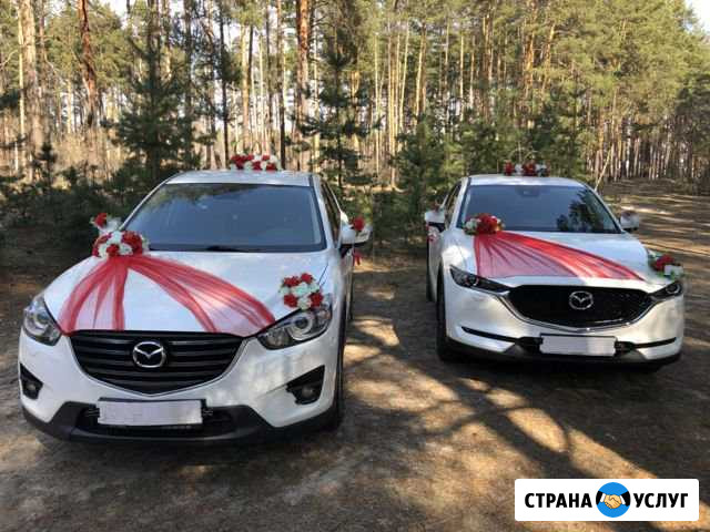 Аренда авто на свадьбу, прокат авто. Трансфер Воронеж - изображение 1