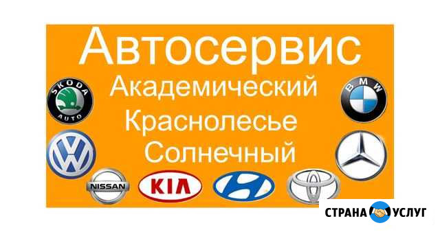 Ремонт подвески/Замена сцепления/грм/Академический Екатеринбург - изображение 1