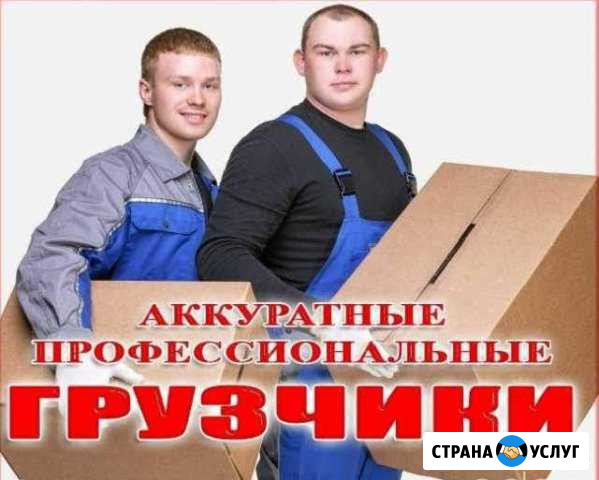 Грузоперевозки Новосибирск - изображение 1