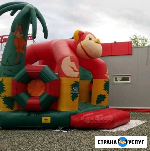 Продажа, аренда Батута или обмен на авто Пермь - изображение 1