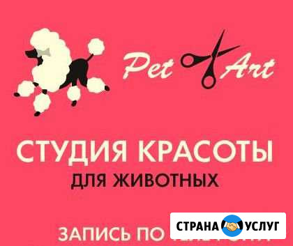PetArt. Студия красоты для животных в Вологде Вологда - изображение 1