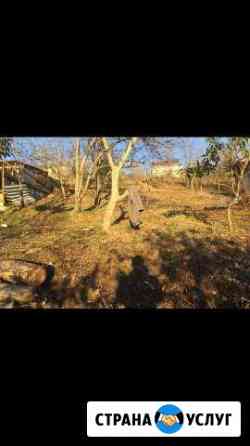 Расчистка участков Сочи