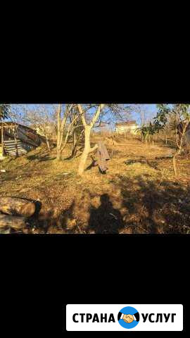 Расчистка участков Сочи - изображение 1