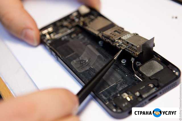 Ремонт iPhone Мурманск - изображение 1