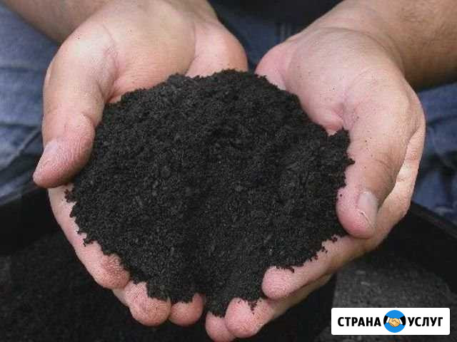 Чернозем торф перегной навоз Арамиль - изображение 1