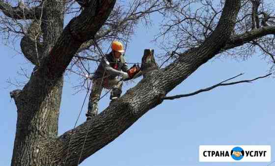 Спил деревьев Новошахтинск