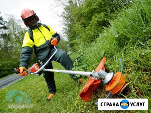 Скос травы триммером, уборка территроий Альметьевск - изображение 1