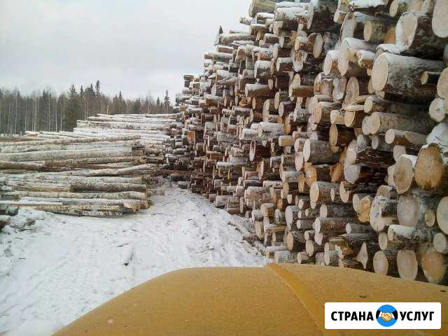 Продажа Дров Югорск - изображение 1