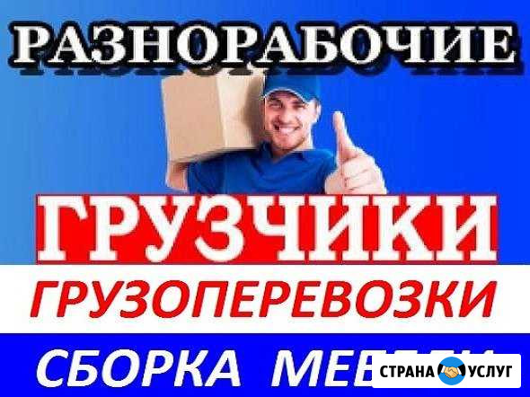 Грузчики. Грузоперевозки. Переезды. Барнаул Барнаул - изображение 1