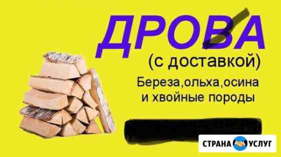 Колотые Выборг